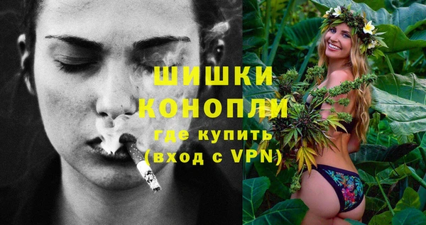 гашик Зеленокумск