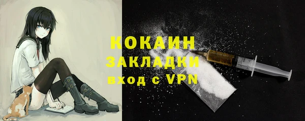 гашик Зеленокумск