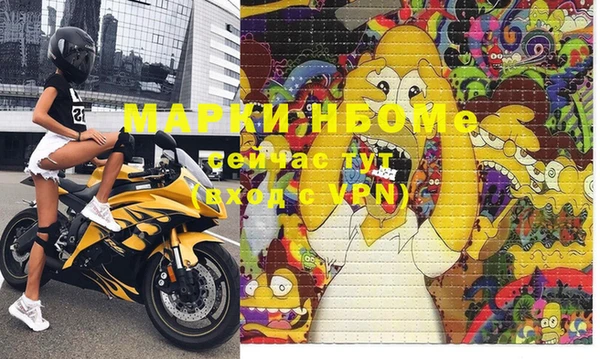 гашик Зеленокумск