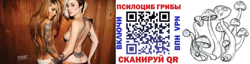 Псилоцибиновые грибы MAGIC MUSHROOMS  Купить где  Цивильск 